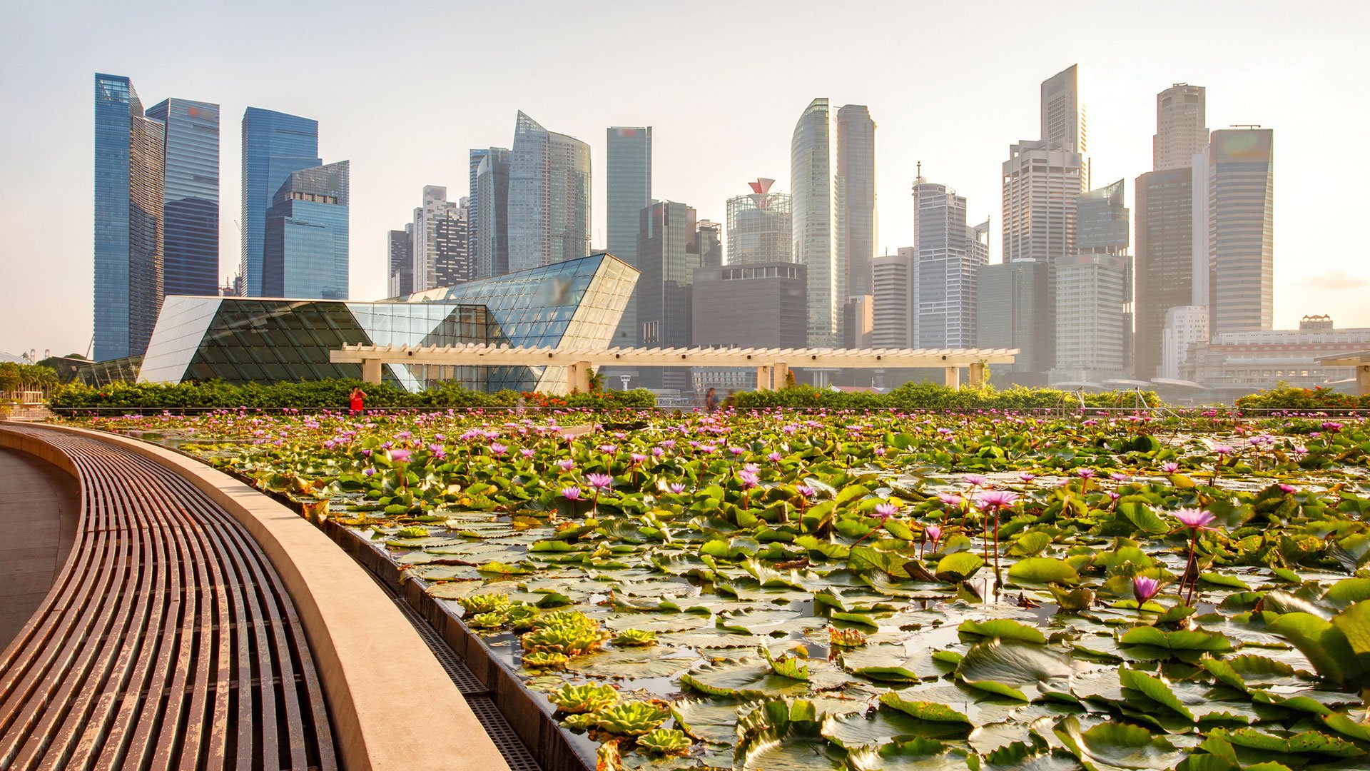 Singapore skyline of business district with lotus pond
