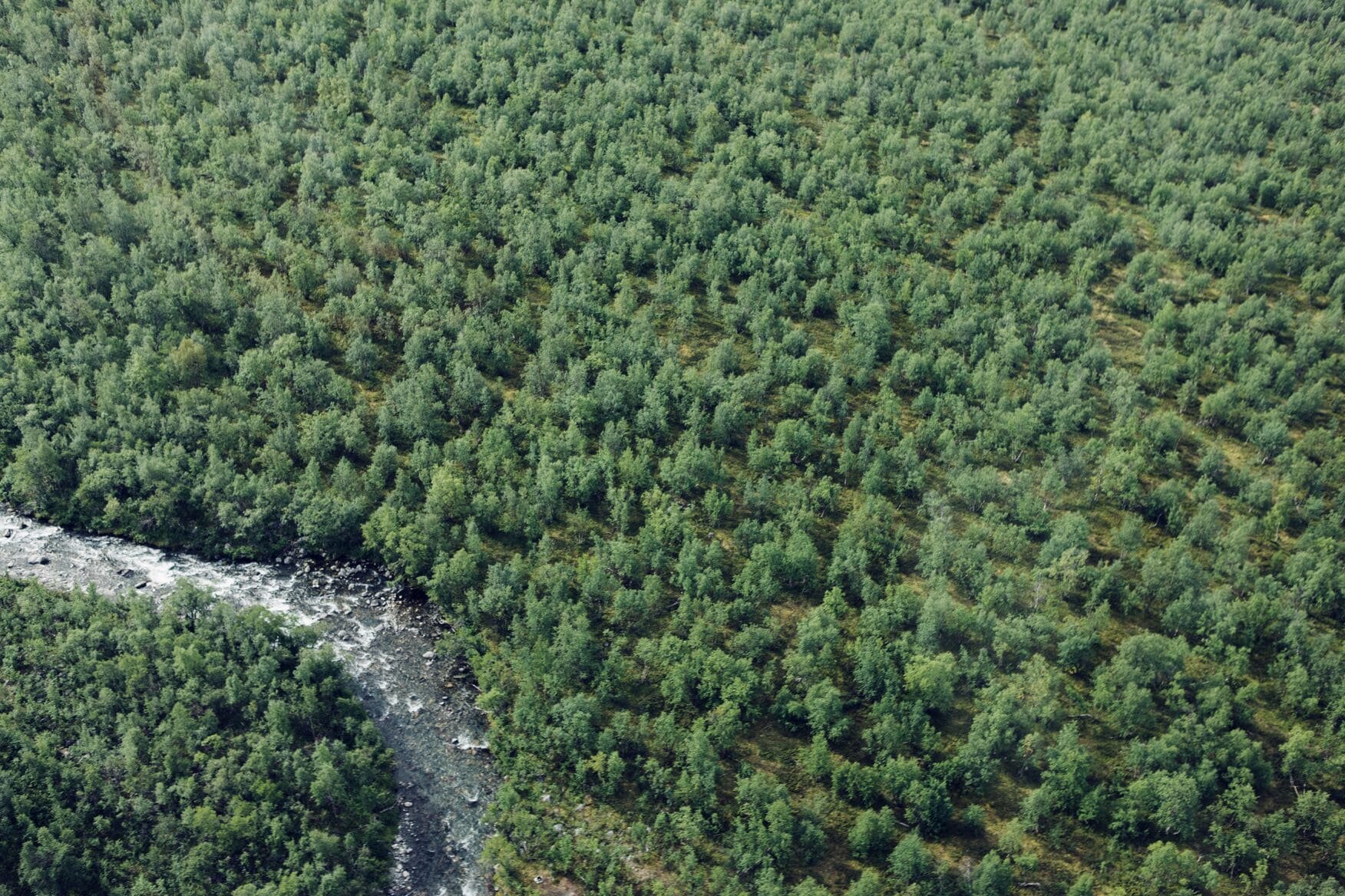 original_web_optimized-aerial-view-of-river-and-forest-min