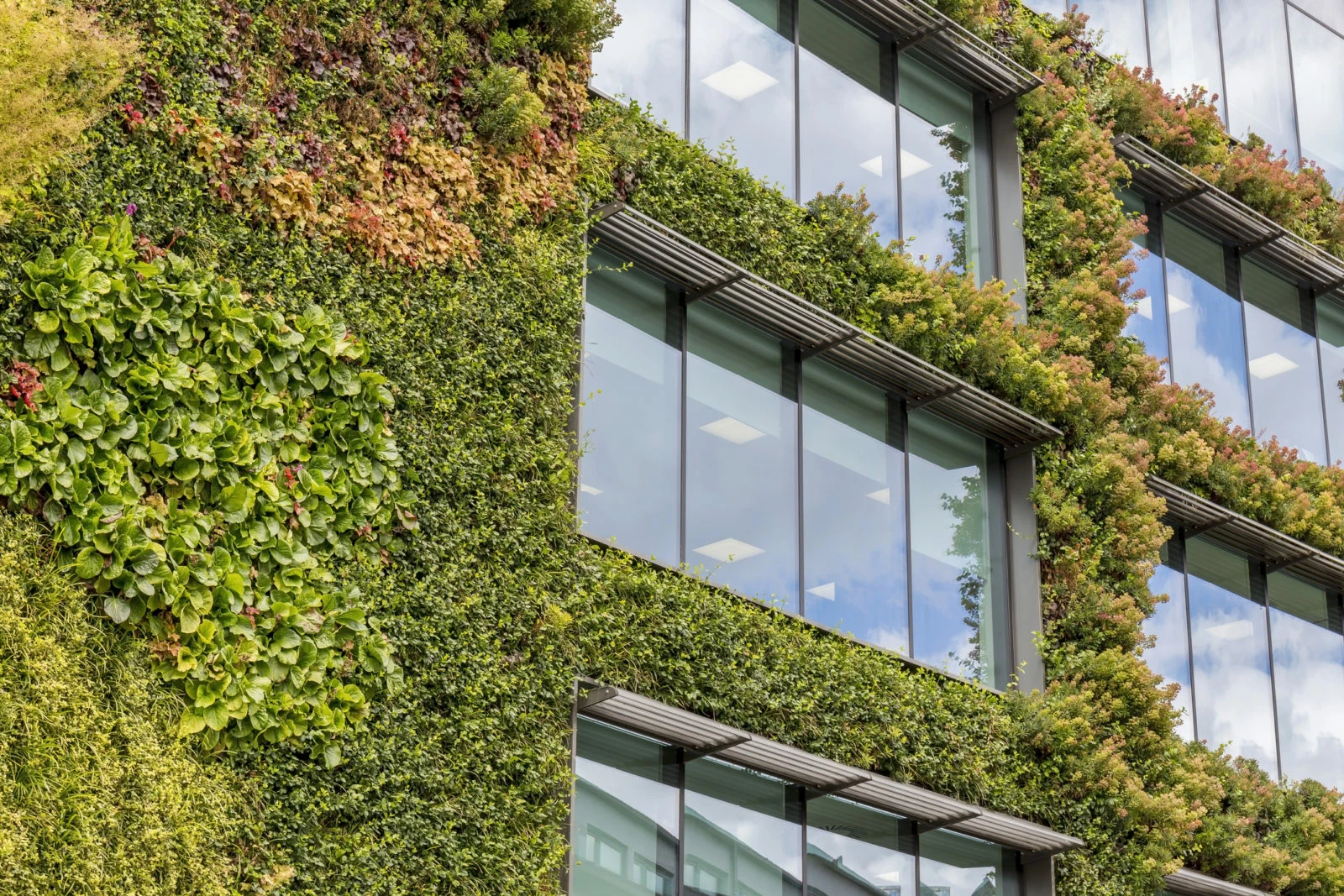 Green living