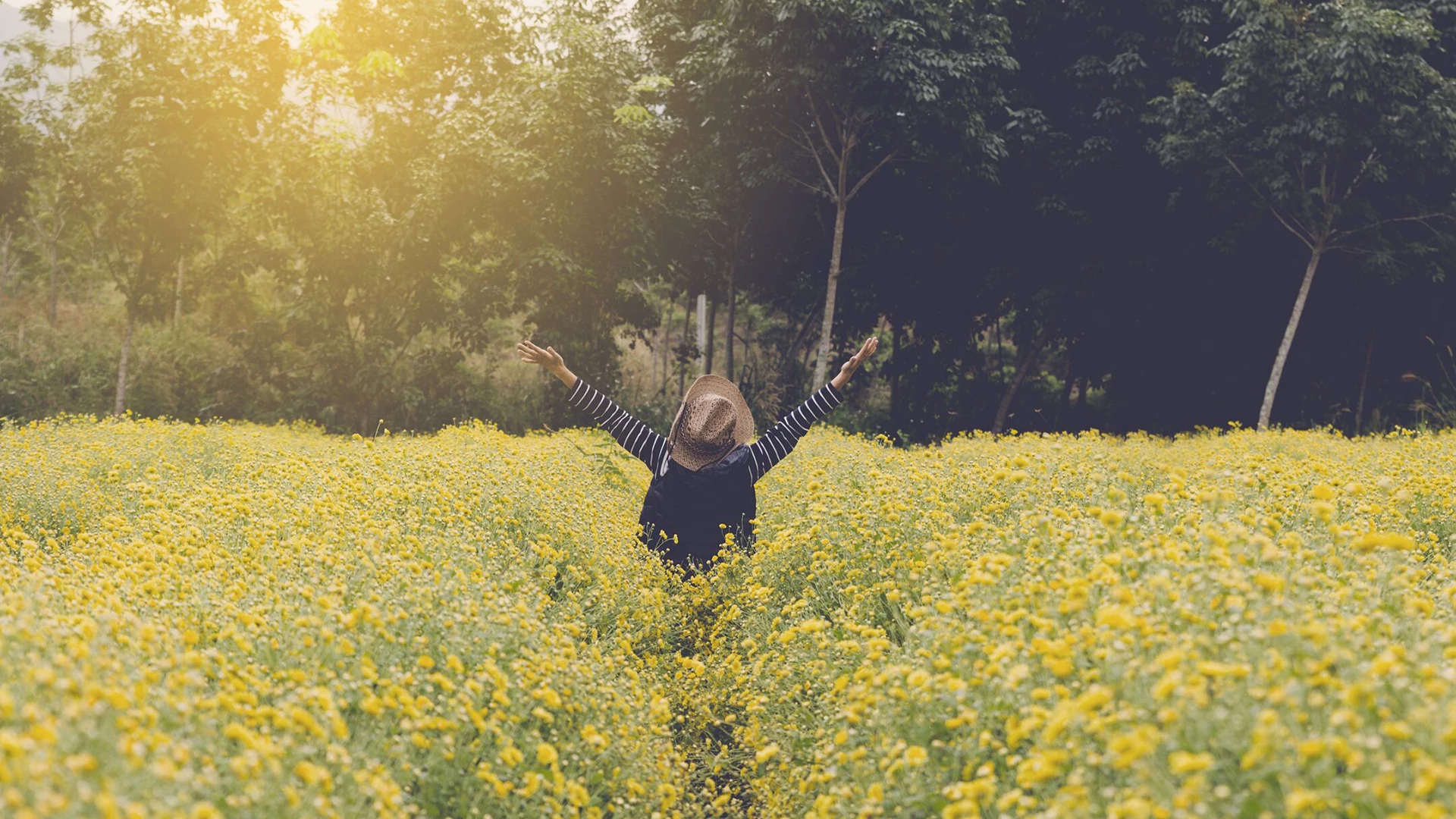 Young woman in a yellow flower field with her arms raised