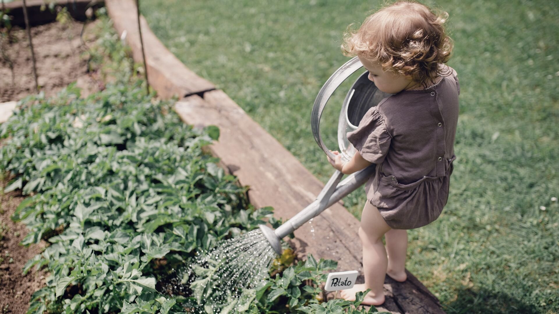 Small child outdoors gardening