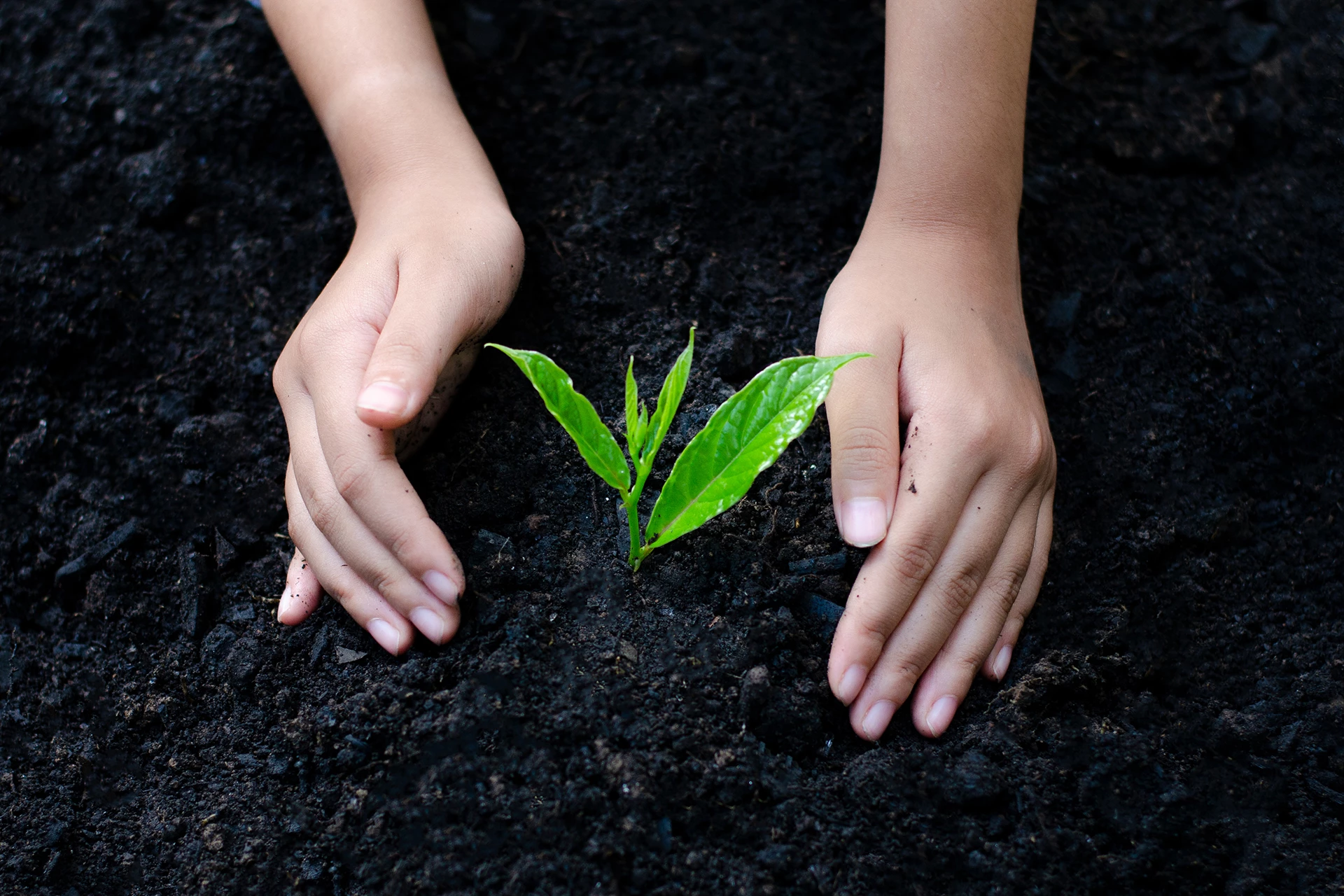 Sustainability