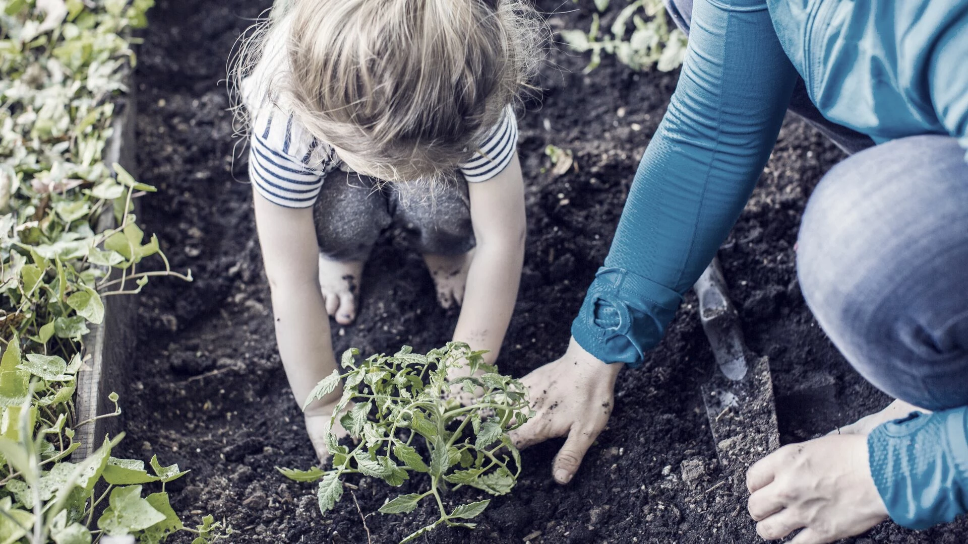 Mother teaching gardening to daughter