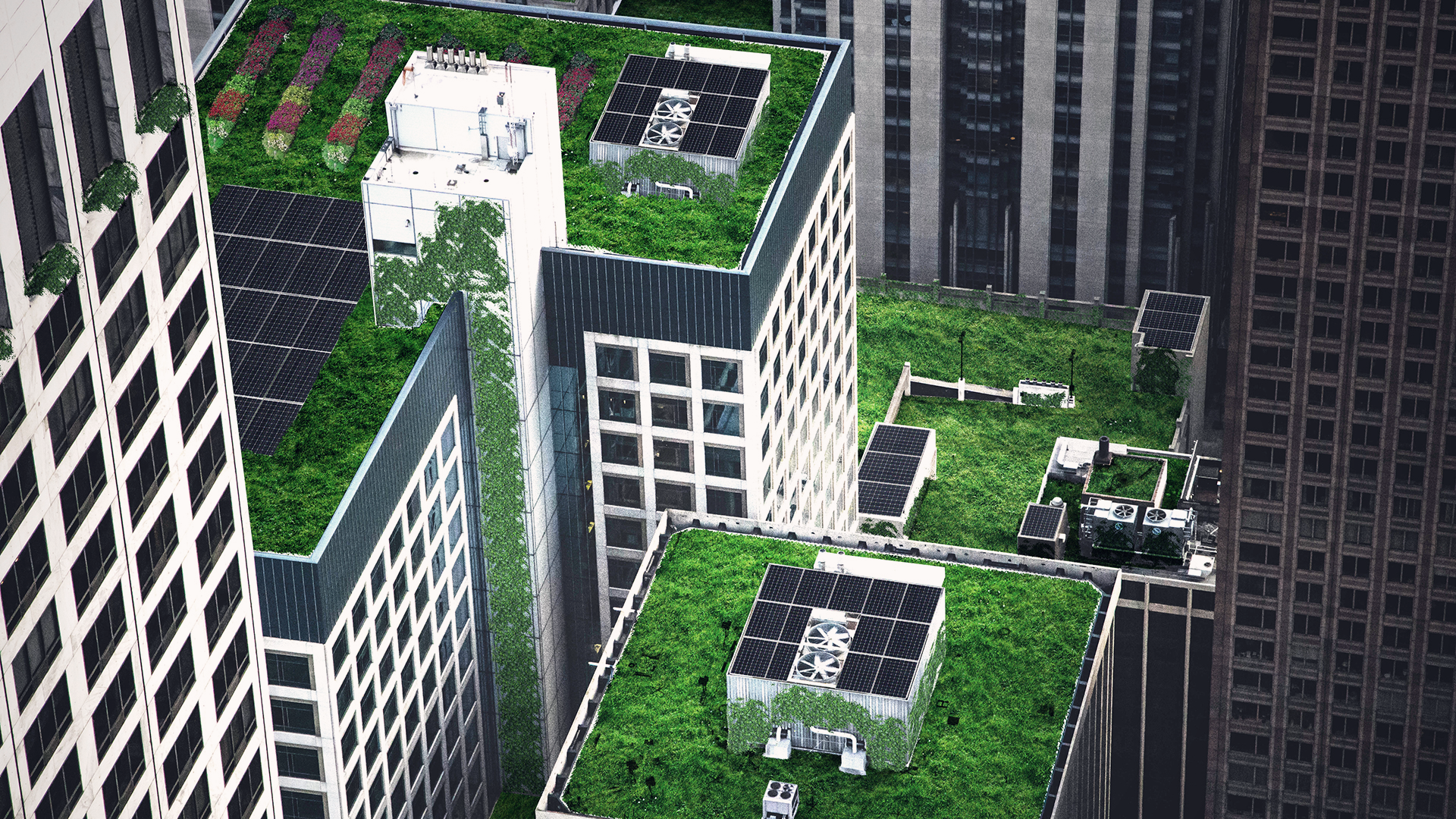 Skyscrapers with green plants on rooftops