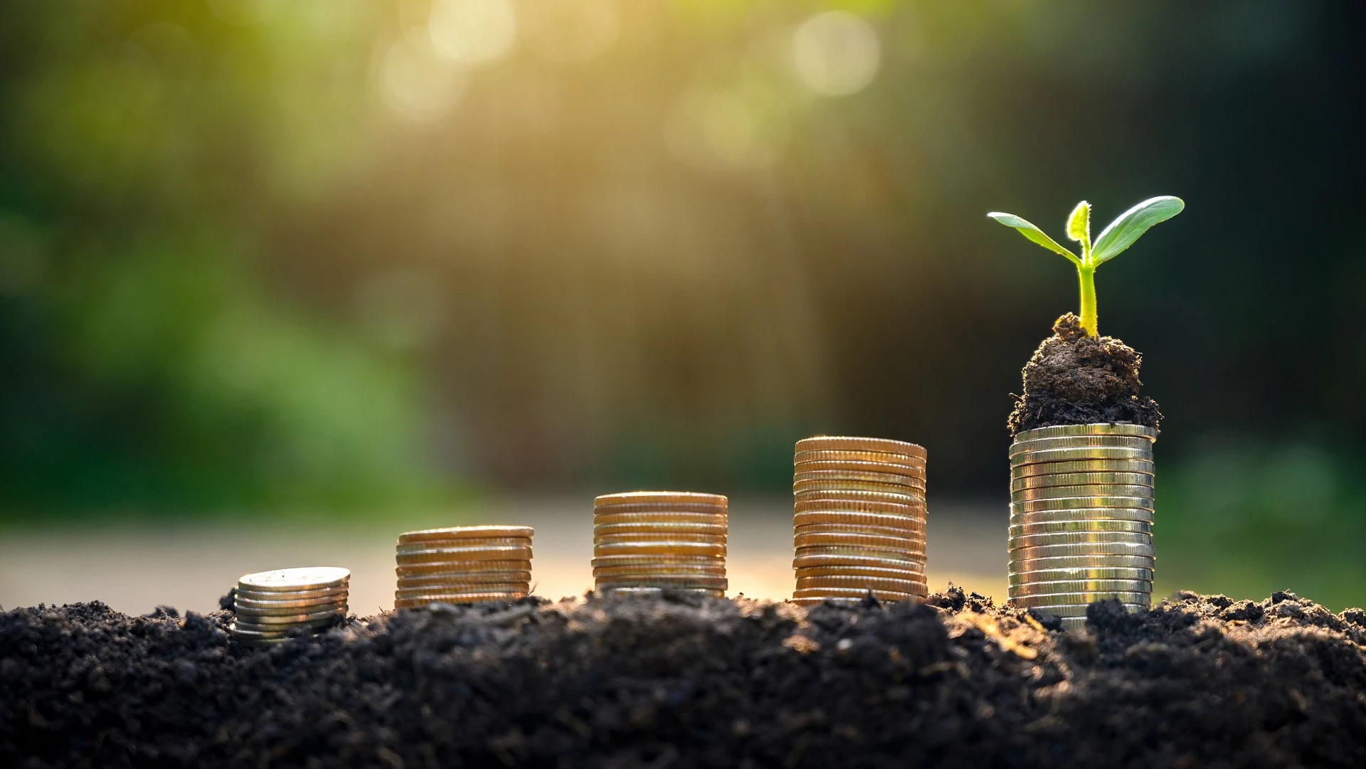 coins_greenshoot