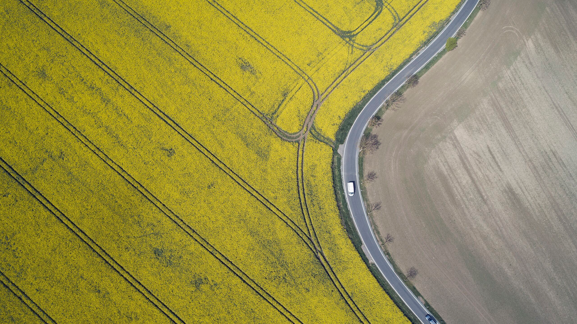Aerial view of rural road with traffic and rapeseed field