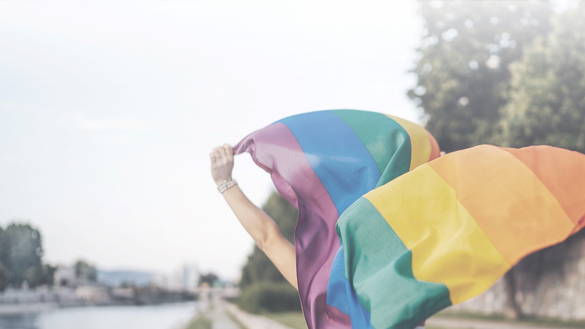 person holding pride flag high