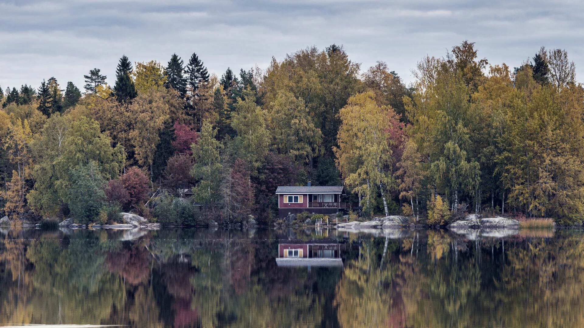 Scenic view of lake by trees during autumn