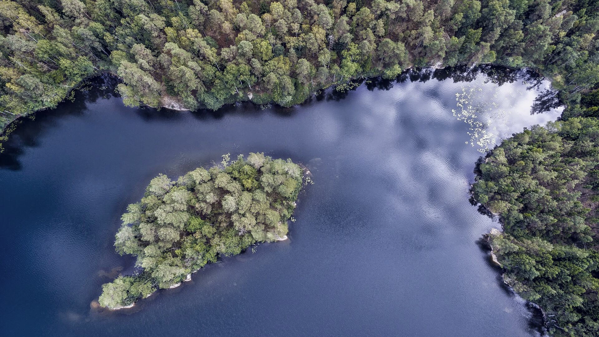 Island with trees and a lake seen from above