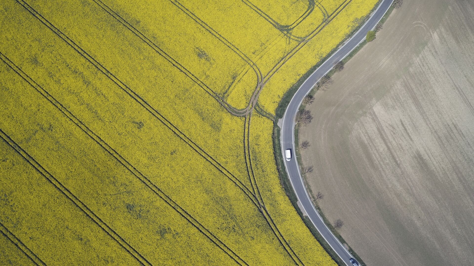 Aerial view of rural road with traffic and oilseed rape field