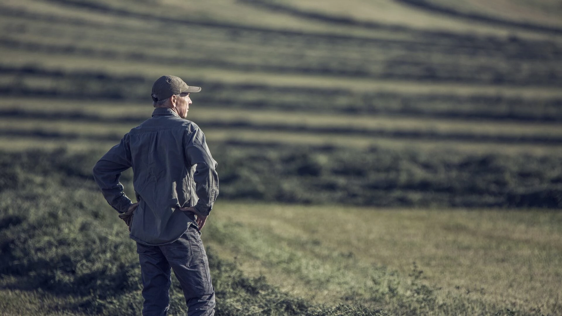 Farmer checking crop