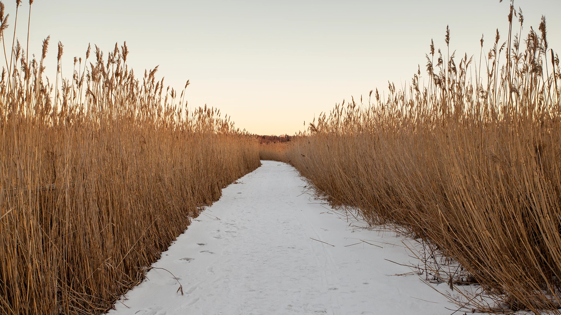 Footpath covered in snow, Finland