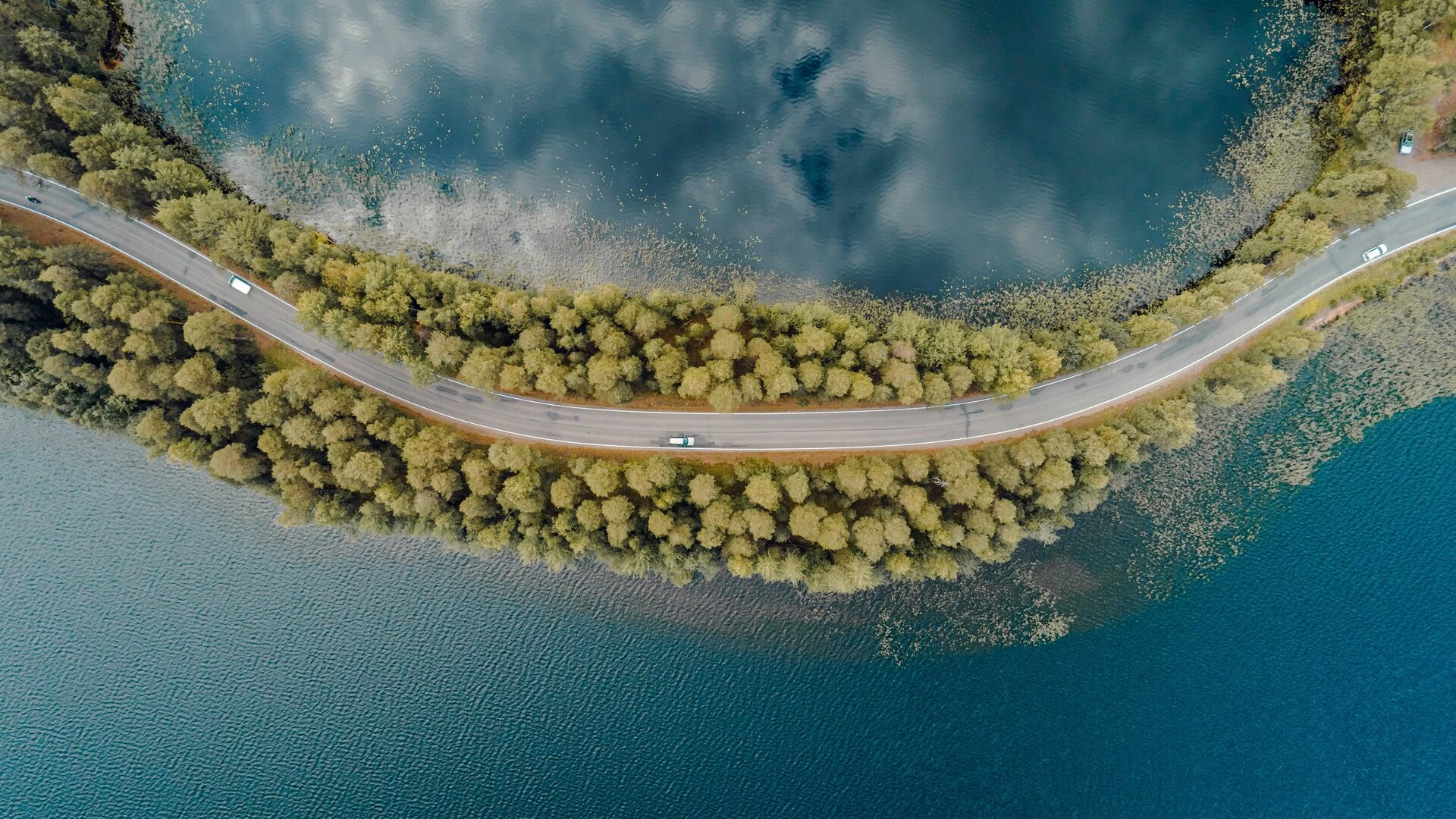 Aerial view of road and trees by the sea