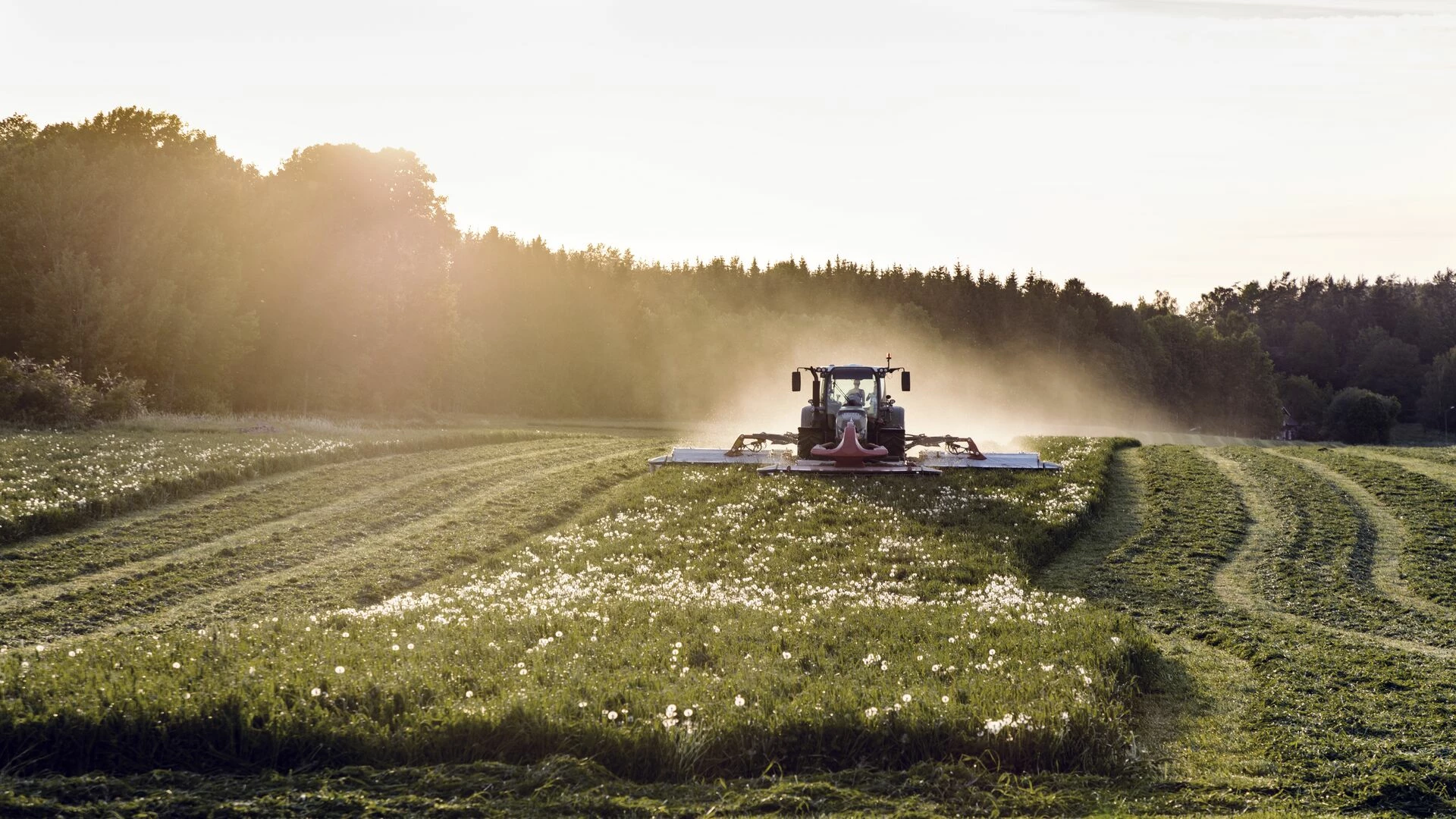 Tractor mowing grass