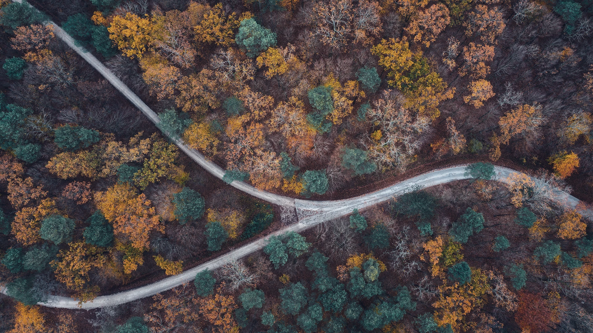 Autumn road