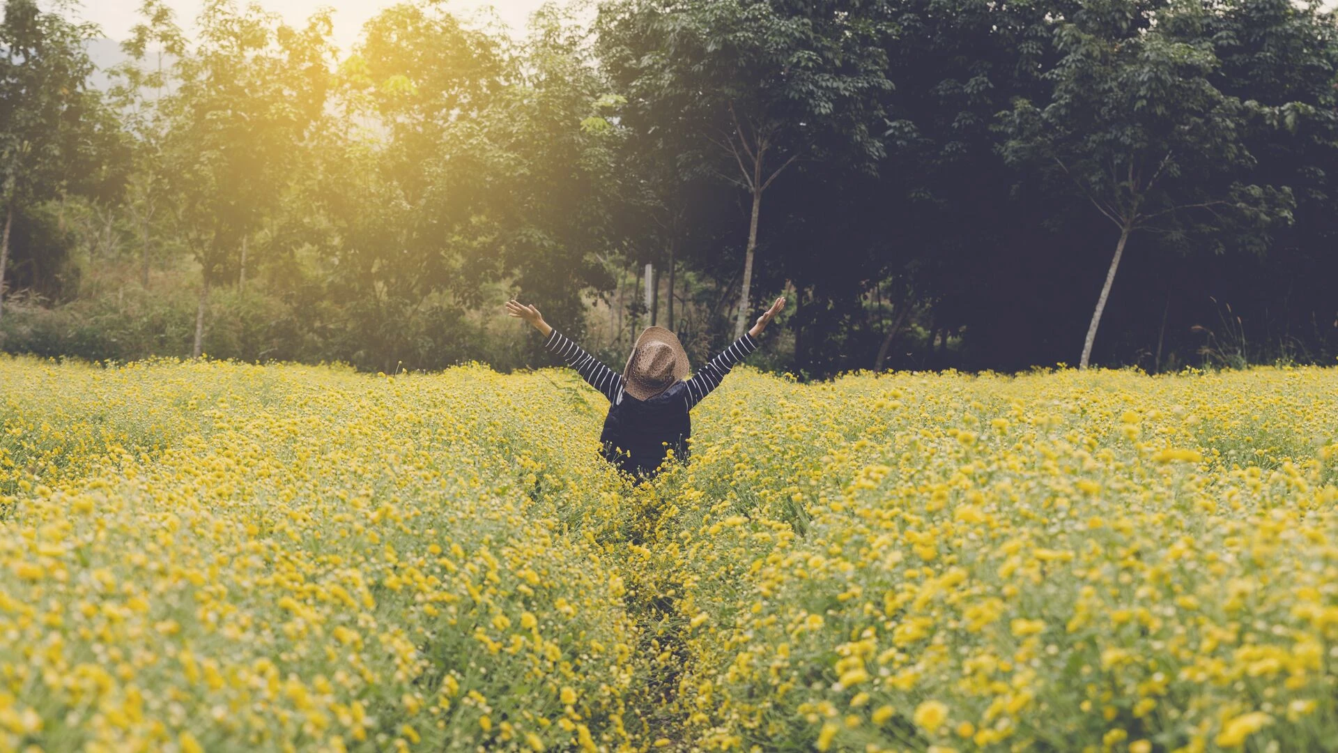young-woman-in-yellow-flower-field