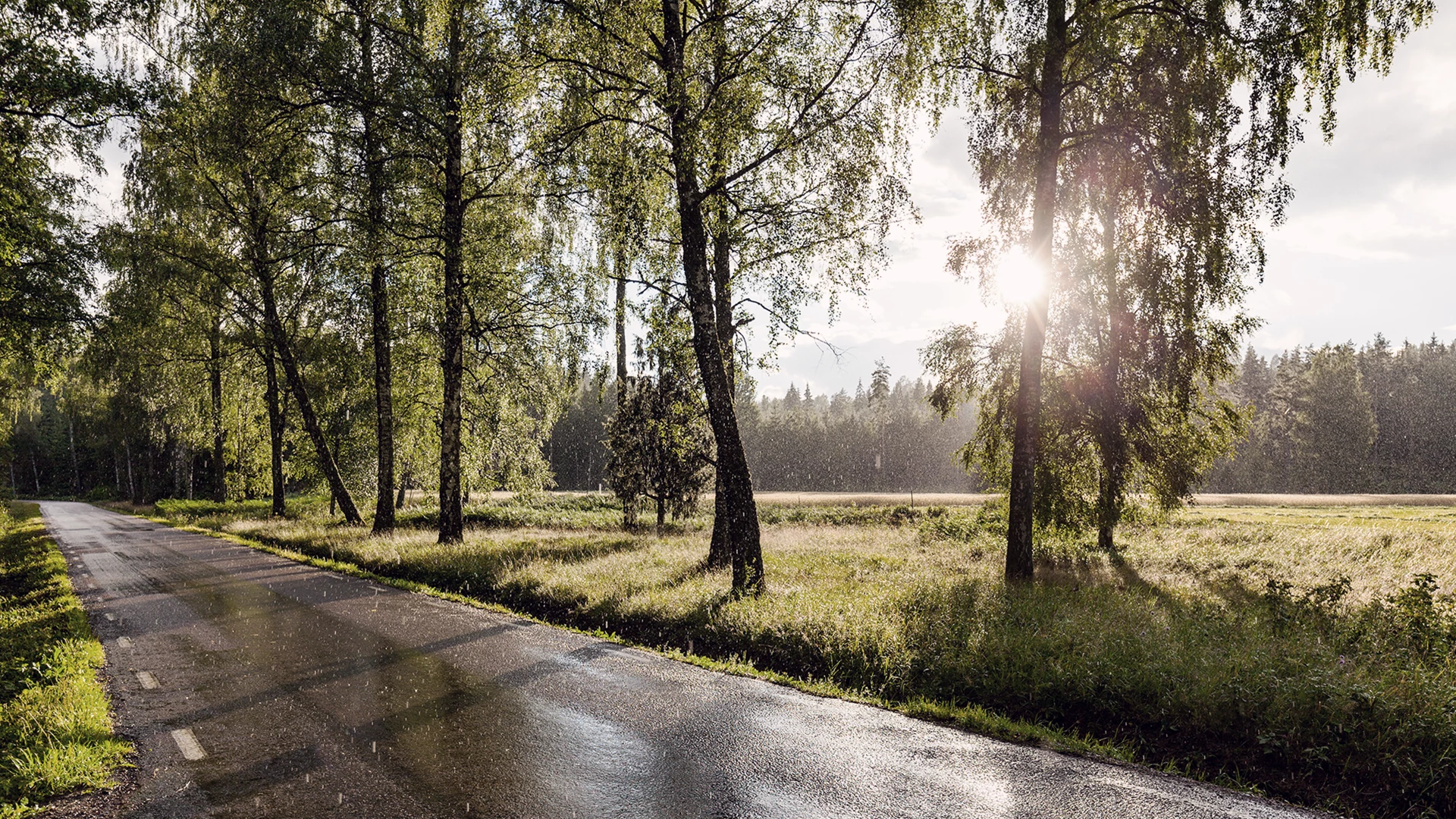 View of rainy and sunny country road