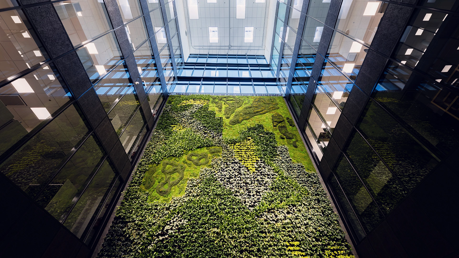 a green wall in an office building