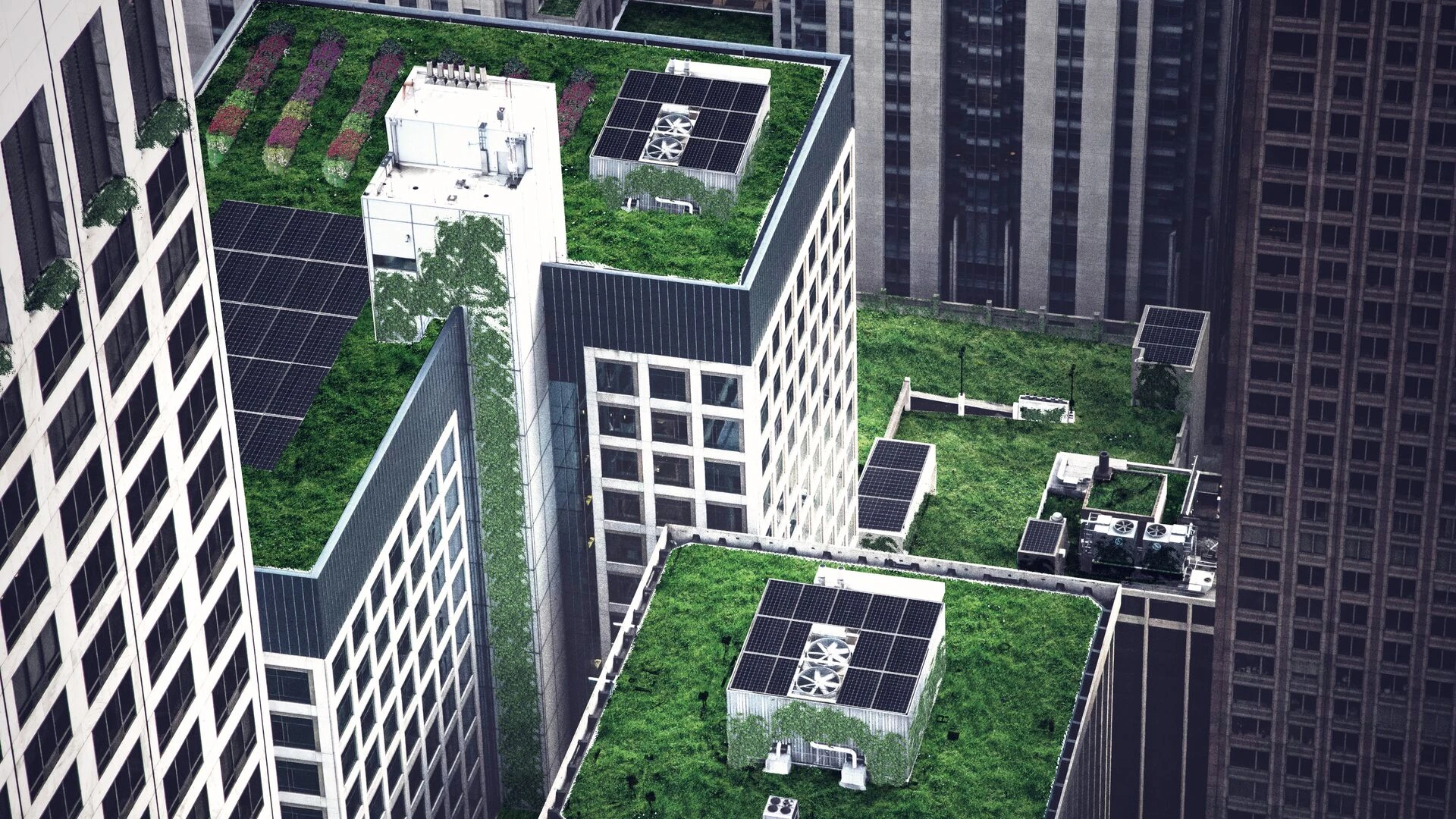 Tall buildings with green rooftops