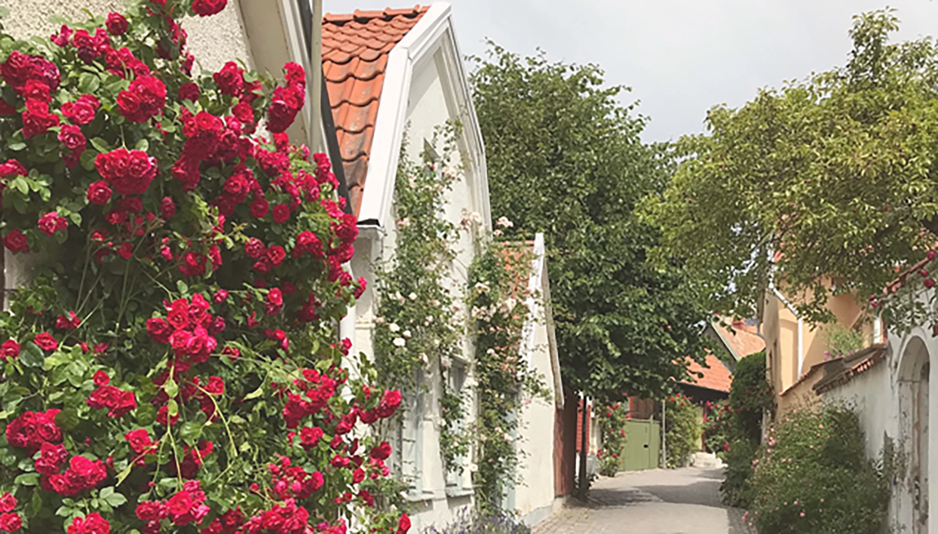 gata i visby