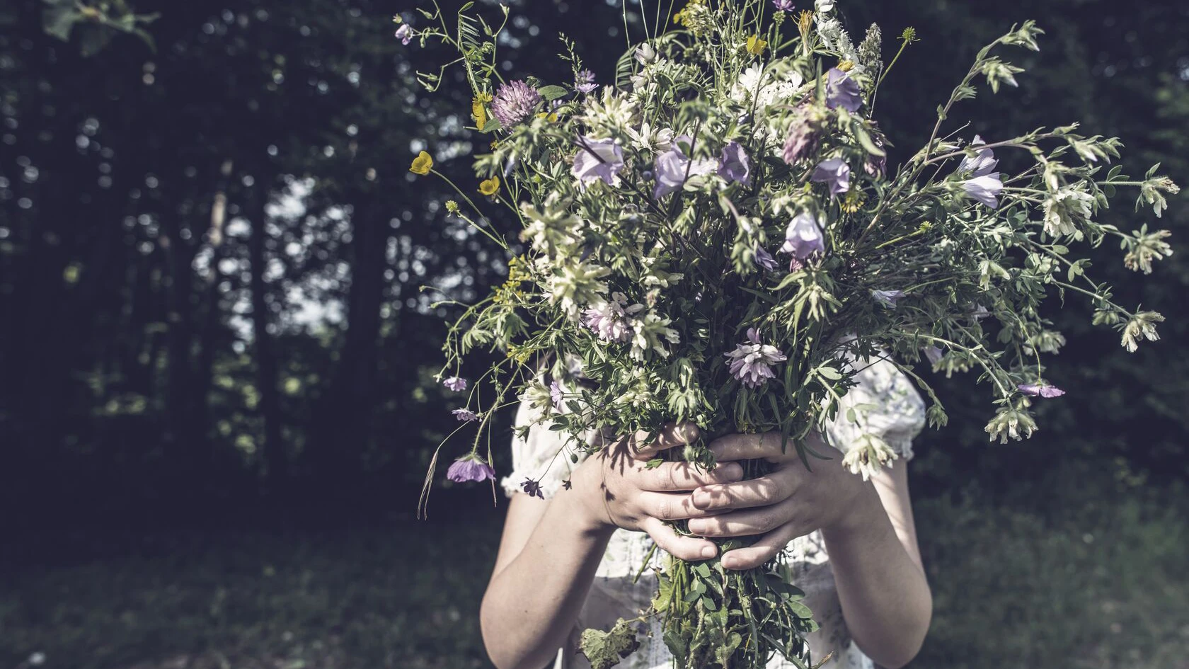/woman-holding-bouquet-of-flowers.