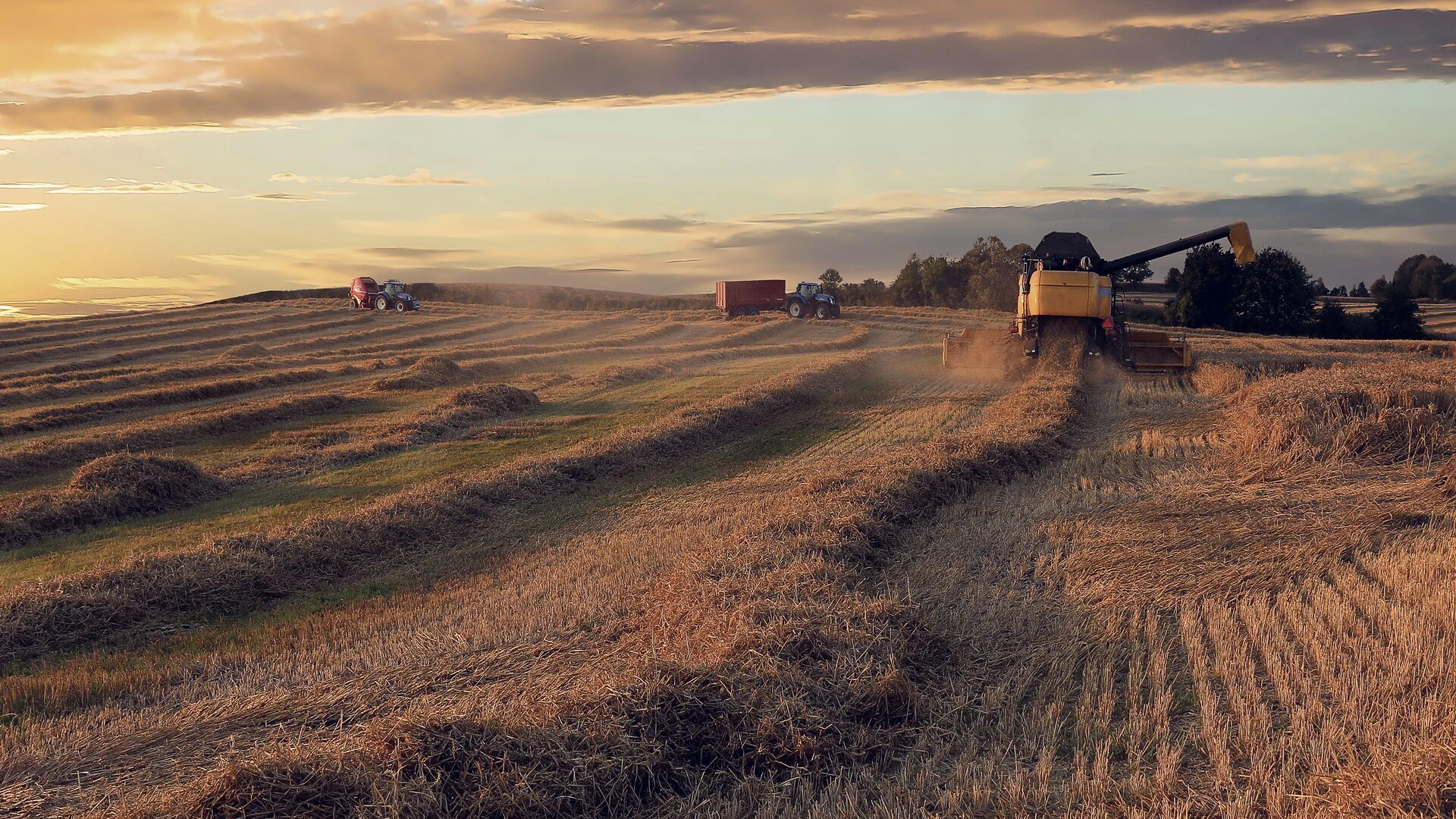 /view%20over%20ongoing%20harvesting%20in%20a%20field..