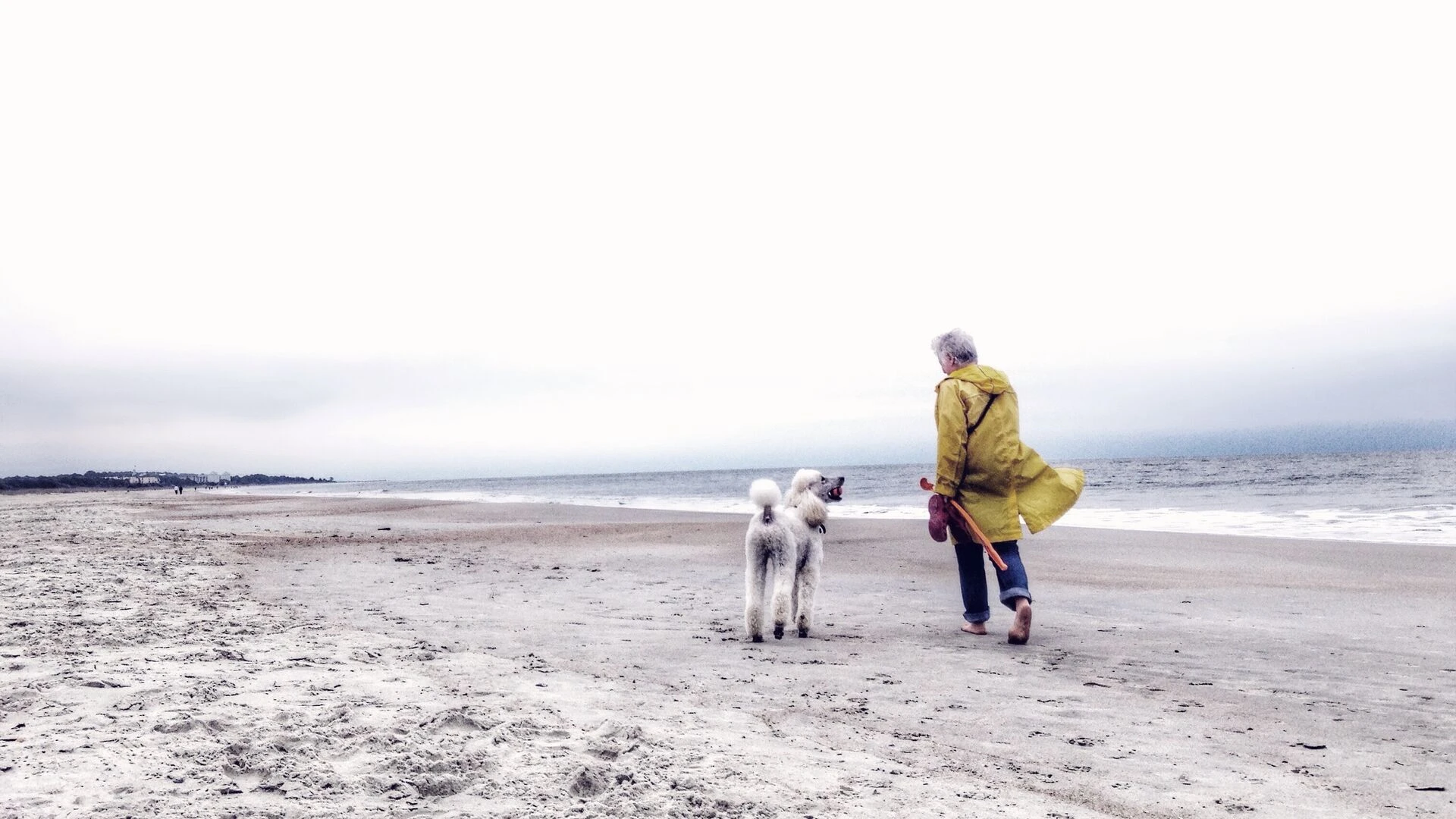 Senior med hund på strand