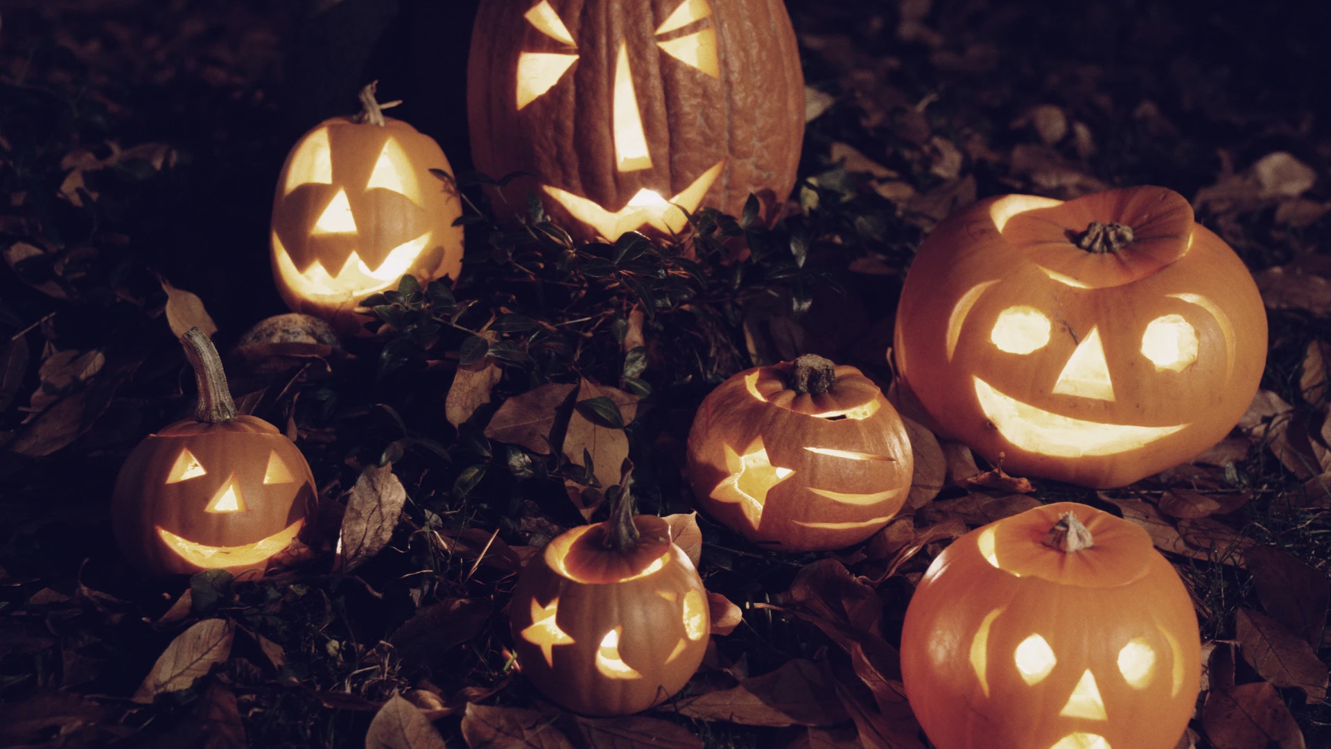 /halloween%20pumpkins%20.