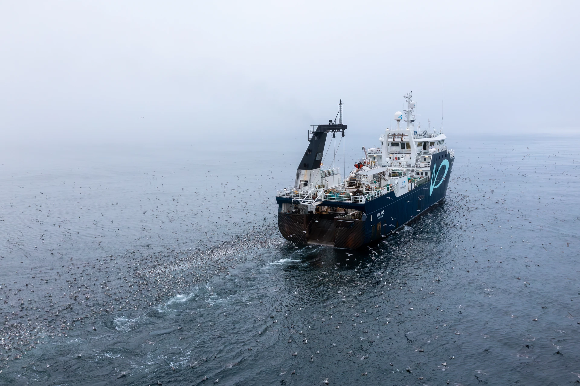 Norwegian Wildfish, brønnbåt