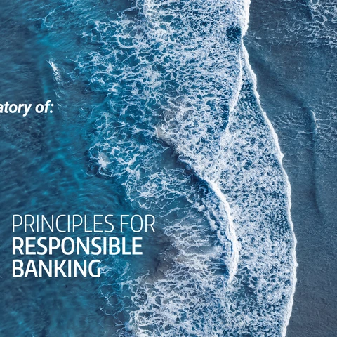 Six principles of responsible banking