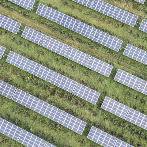 Solar plant - sustainable advisory