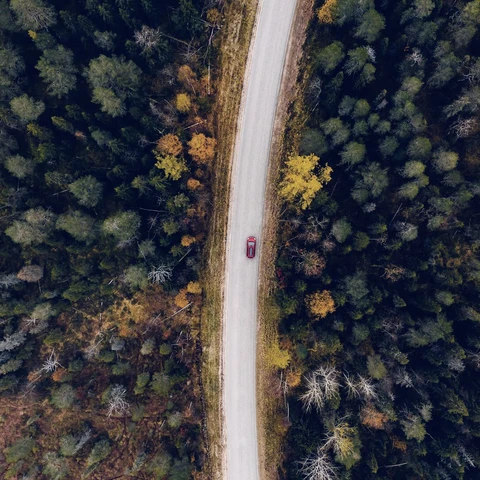 Aerial view of rural road in yellow and orange autumn forest