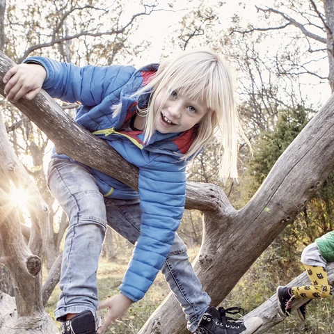 Happy children climbing in trees