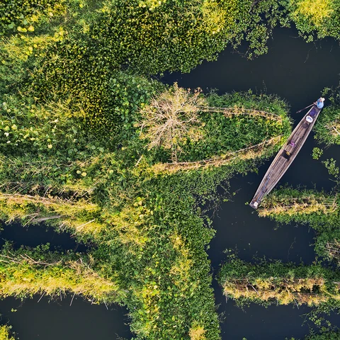man-on-a-boat-navigating-in-the-floating-garderns-of-inle-lake-shan-state-myanmar