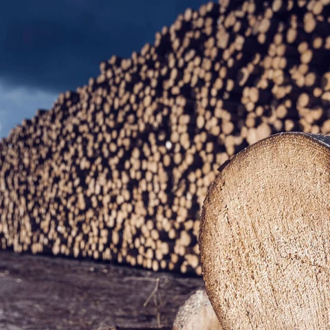 pile-of-lumber