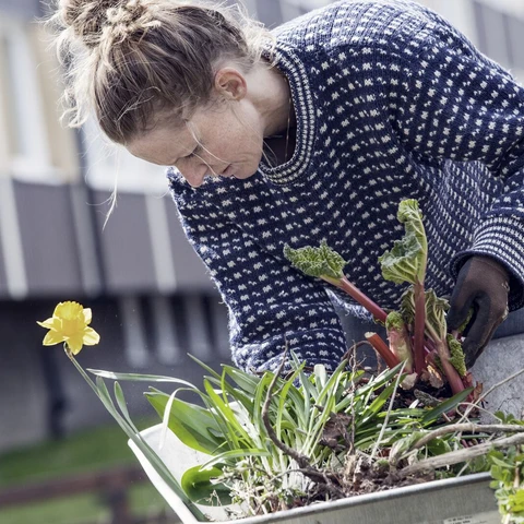 woman-gardening