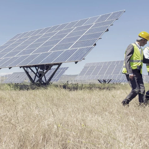Men in solar panel field