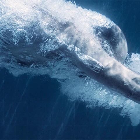 Person diving into water autofx banner