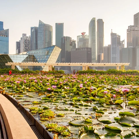 Singapore skyline of business district with lotus pond