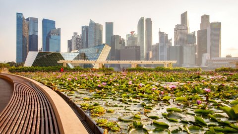 Singapore skyline of business district with lotus pond