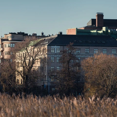 Helsinki houses