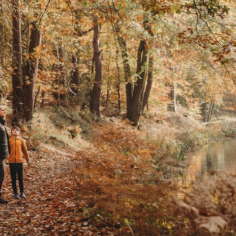 Father and son in autumn woods with dog