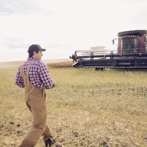  Name original_web_optimized-farmer-walking-toward-combine-harvester-