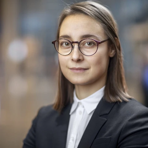 sheida-palmelind