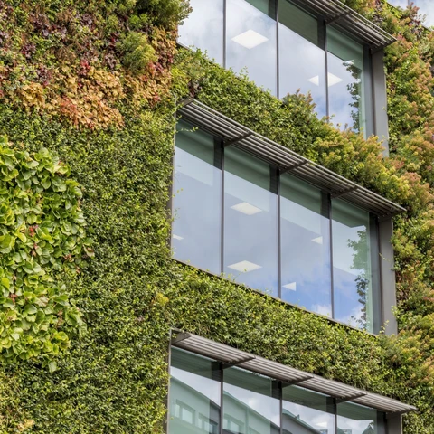 Green living