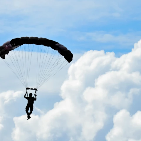 skydivers