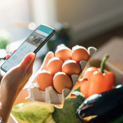 young-woman-ordering-groceries-online-with-smartphone