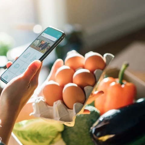 Young woman ordering groceries with smartphone