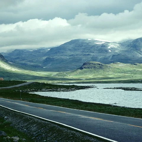 Road through landscape