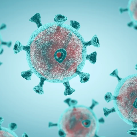 Cells